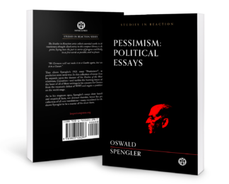 Pessimism: Political Essays